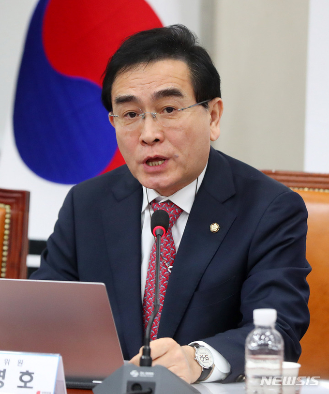 태영호 의원/사진=뉴시스