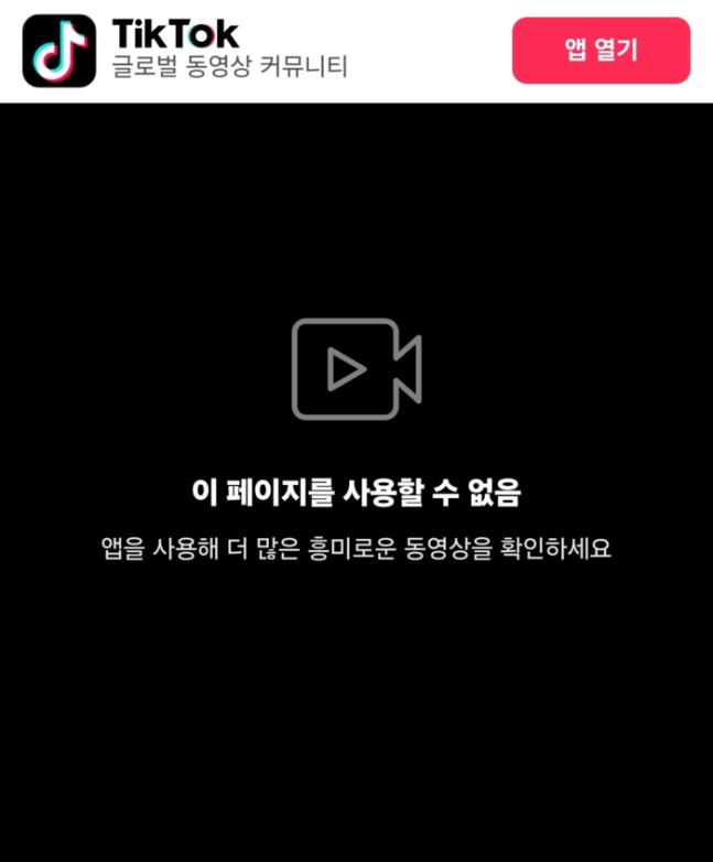 심의 대상이 된 최초 영상은 23일 오전 10시쯤 삭제됐다/사진=틱톡 갈무리