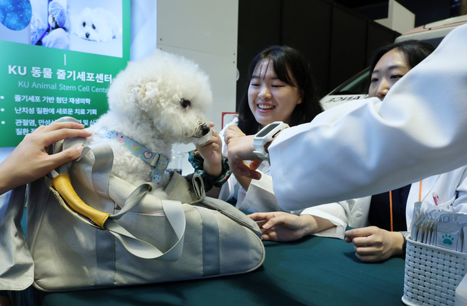 지난달 13일 서울 강남구 코엑스에서 열린 2025 케이펫페어 건국대학교 동물병원 부스에서 반려견이 상담을 받고 있다. 사진=뉴시스