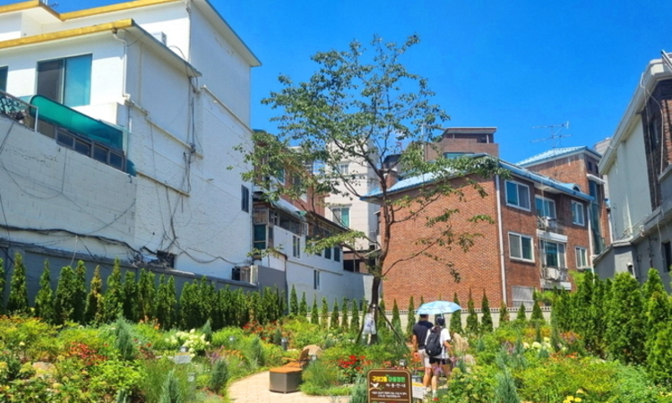 서울시, 도심 정원 1010곳 완성… "'5분 정원도시' 눈 앞"