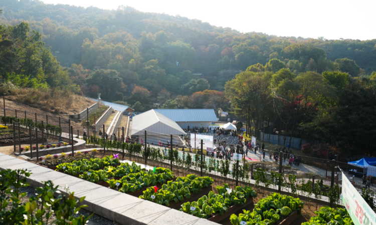 서울시, 수확의 기쁨 즐길 수 있는 자투리텃밭 9016구획 분양