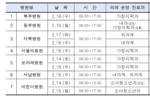 서울시, 설 연휴 문 여는 병의원·약국 1만 3000여 곳 지정… "의료 공백 없게 만전"
